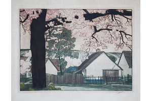 Chalupy pod kvetoucími stromy